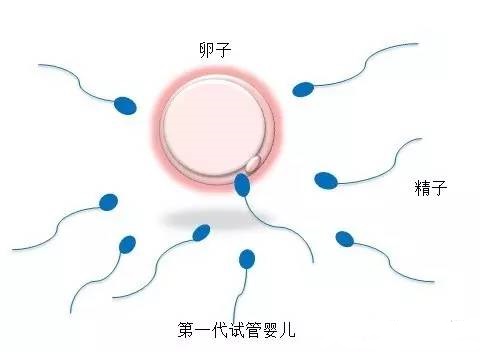 试管借卵代怀机构